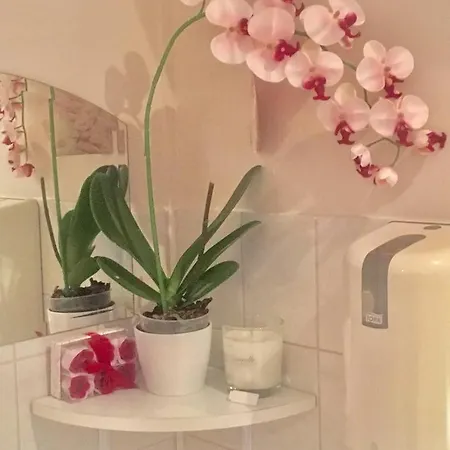 公寓 Adamo Apartman Haz *