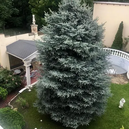 Adamo Haz アパート セゲド